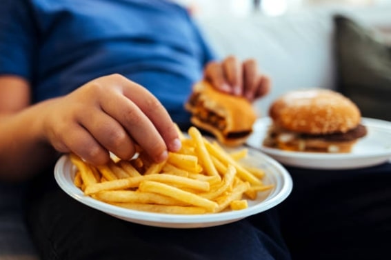 Hauptfaktoren, die Fettleibigkeit verursachen